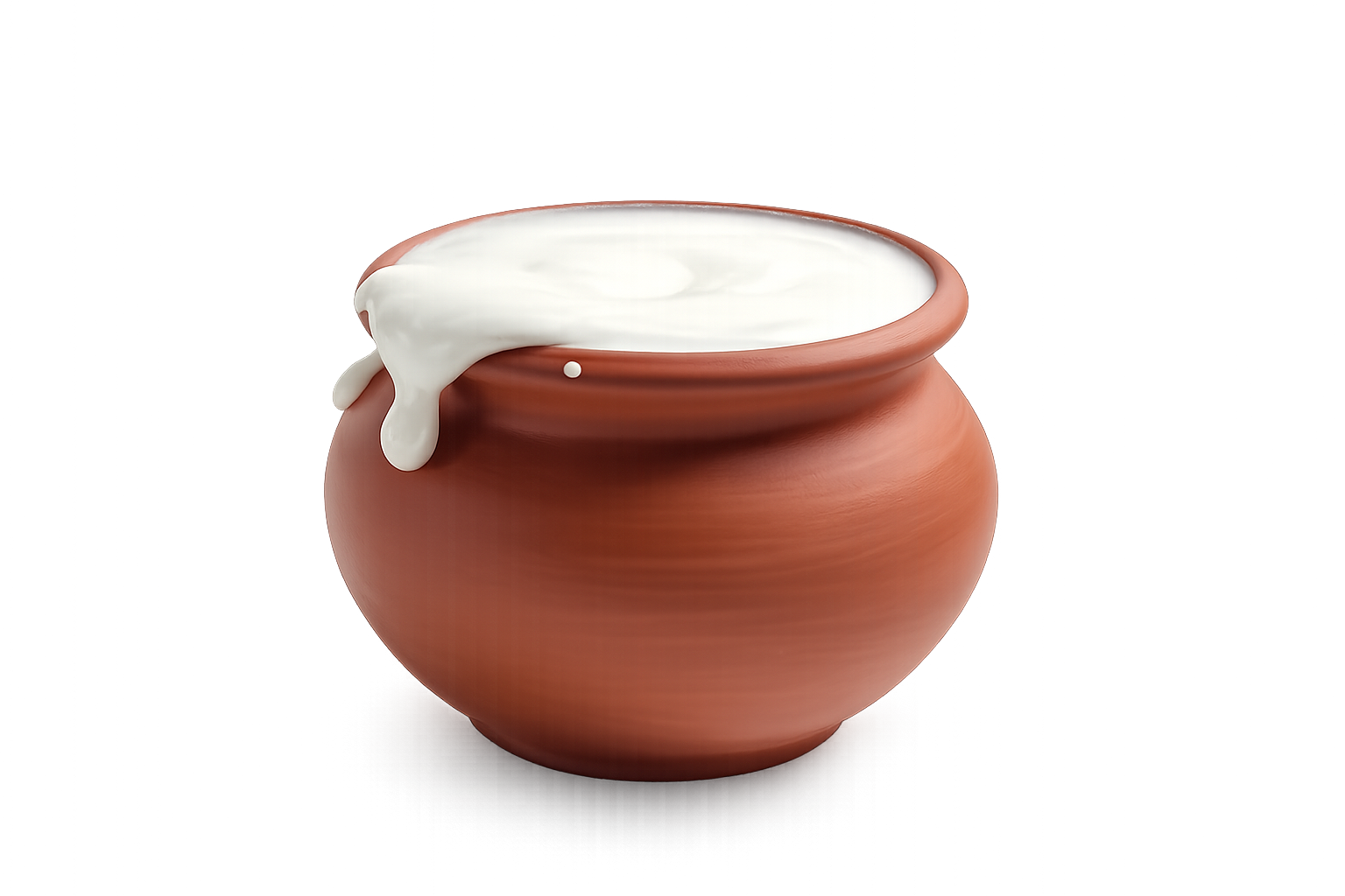 Fresh Curd